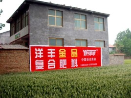 合川如何让墙体广告展现最大化效果