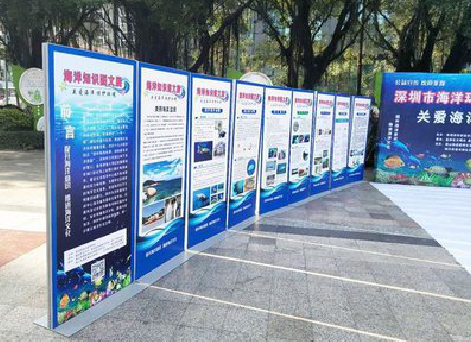 合川KT板的种类和知识。